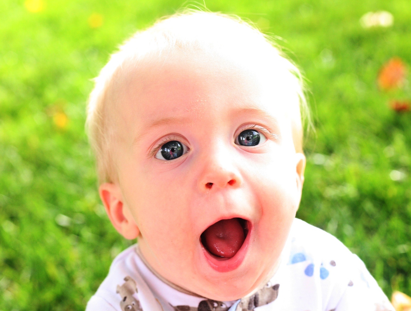 Cute little guy isn't he?